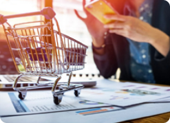 zerone e-commerce